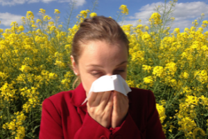 Allergies saisonnières